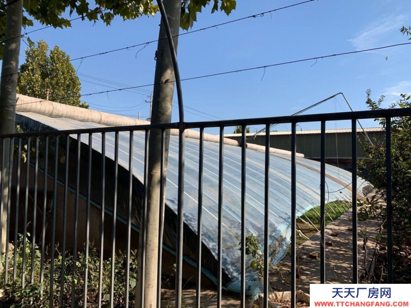 石家莊長安溫室大棚，果樹園，羊圈牛棚雞舍等