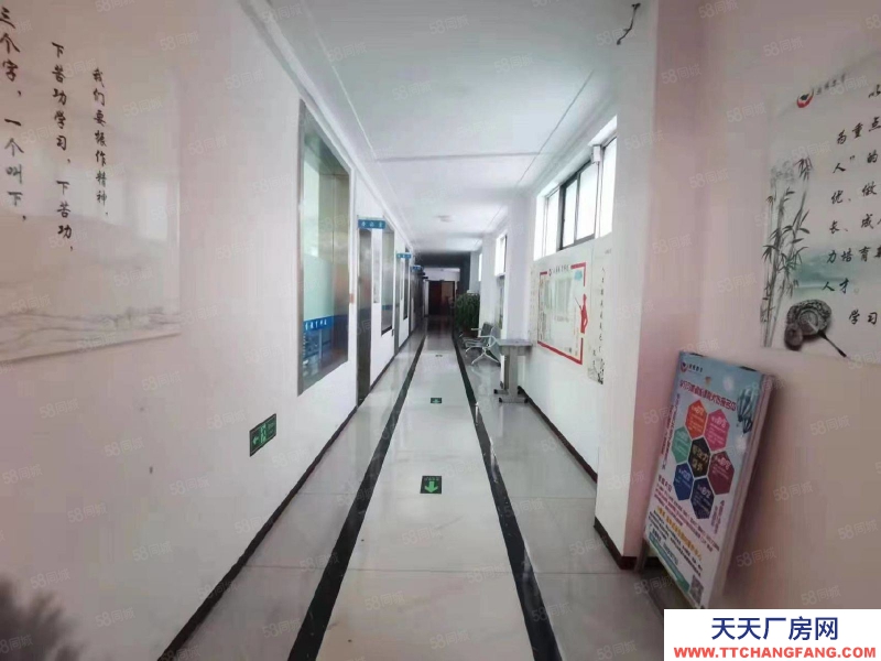 石家莊橋西區 新華西路 辦公樓 獨院 出租