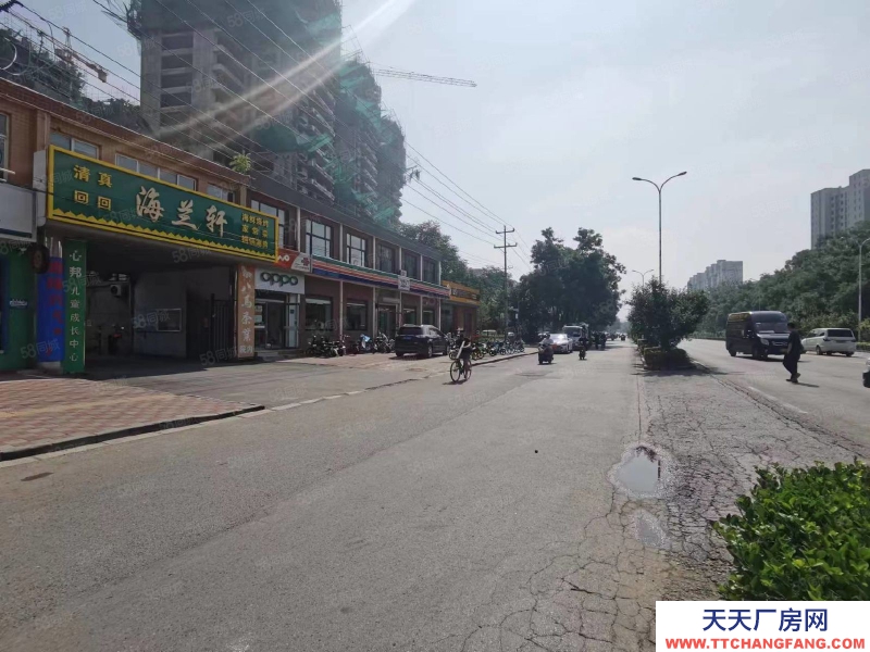 石家莊橋西區 新華西路 辦公樓 獨院 出租