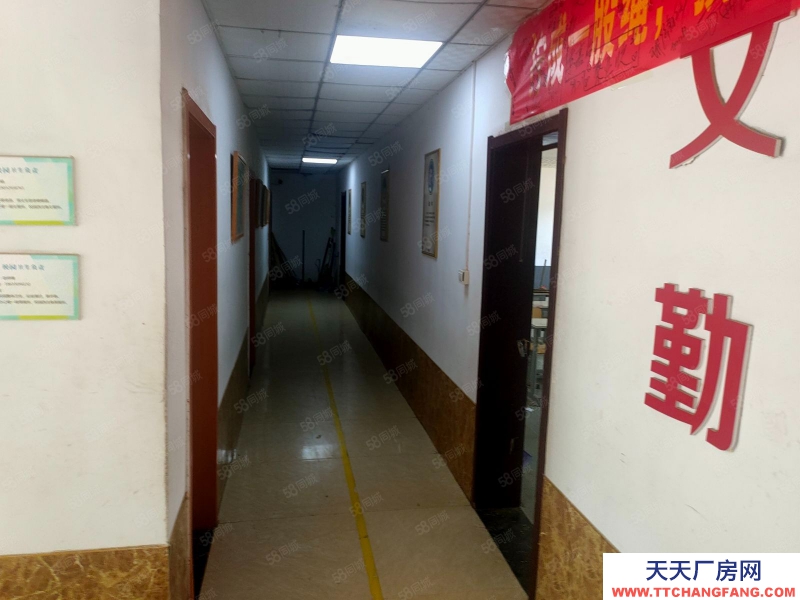 石家莊橋西安聯(lián)青年城西門，獨院3500平出租，適合培訓學校，辦公廠房等