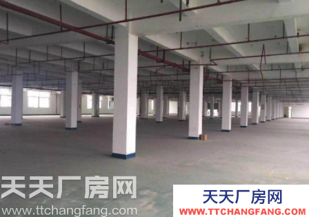 (出租) 個人 福州倉山區高旺路 吉諾汽車集團 廠房優惠出租