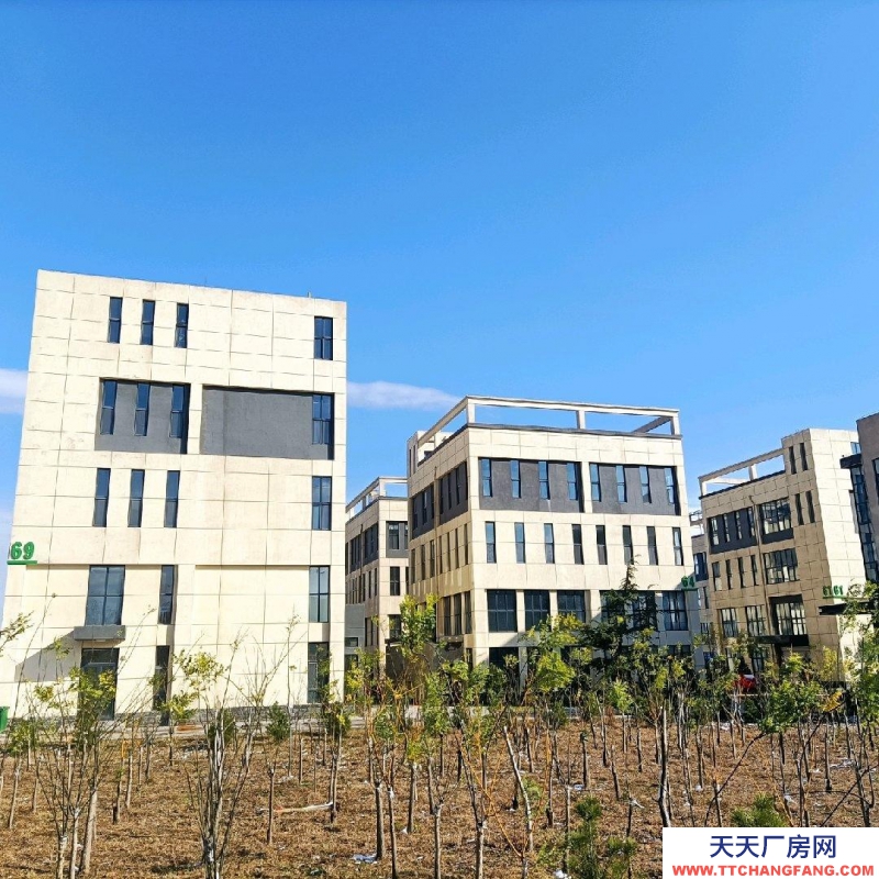 石家莊橋西獨棟1600平 | 出租出售