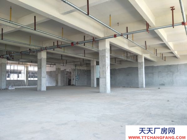 武漢江岸(出售) 雄新產業園即將交房，帶單獨衛生間和電梯，每層可辦證