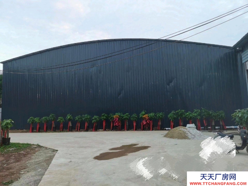 南寧市東村8元一月集體廠房出租