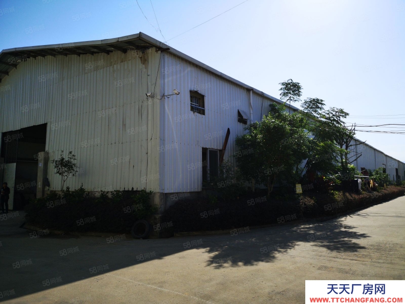 (出租) 福州倉山區房東優惠直租灣邊大橋廠房4600平方米(可分割出租)