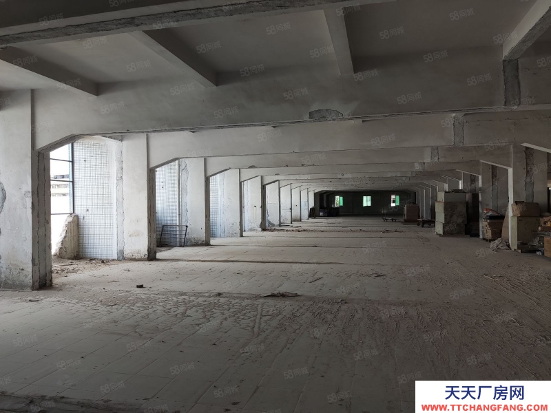 (出租) 廣州荔灣業主直租!4500方廠房可以自由分割,靈活多變,采光好!