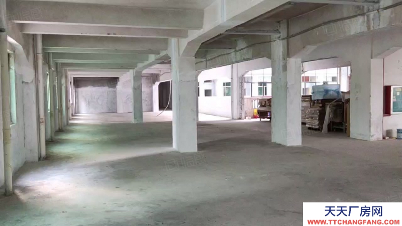 (出租) 廣州荔灣業(yè)主直租！4500方廠房可以自由分割，靈活多變，采光好！