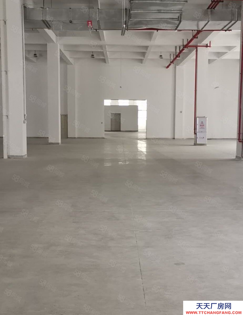 (出租) 福州倉山區房東出租 高新區6萬平全新廠房招商 框架結構5萬平方，帶卸貨