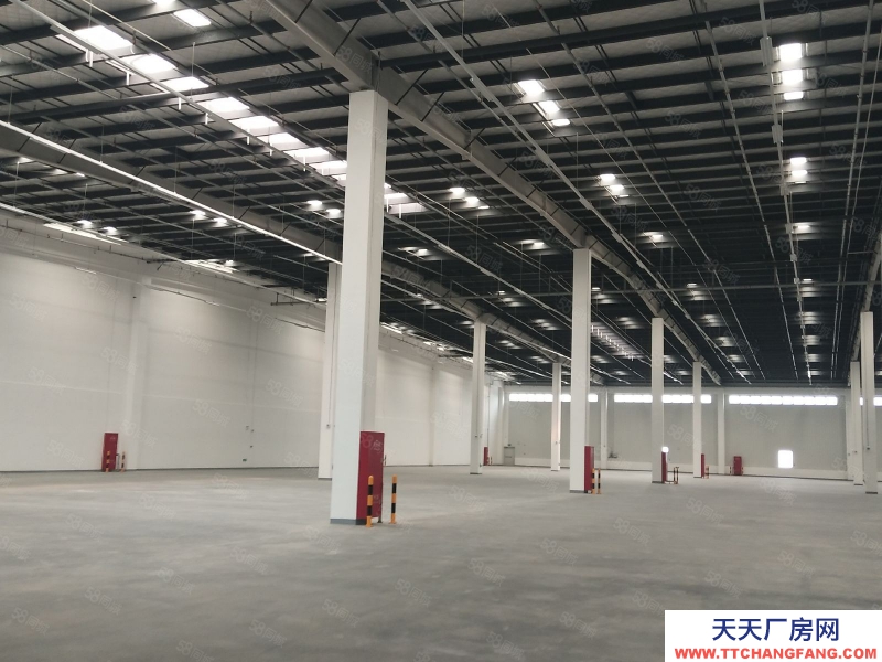 重慶巴南 南彭物流工業(yè)園區(qū)20000平方丙二類倉庫大小可分