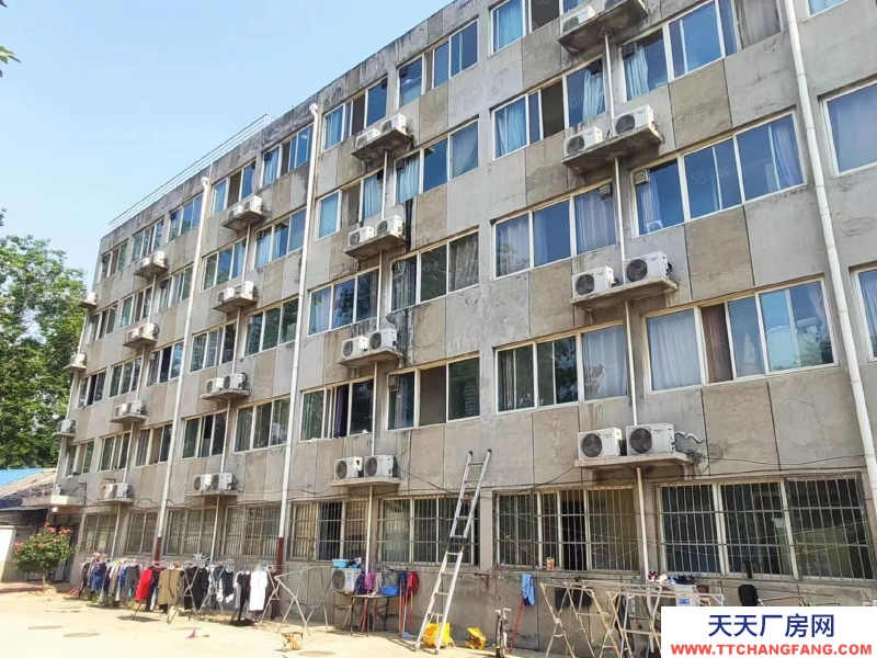 石家莊新華區學府路經貿大學附近獨棟獨院辦公樓公寓出租