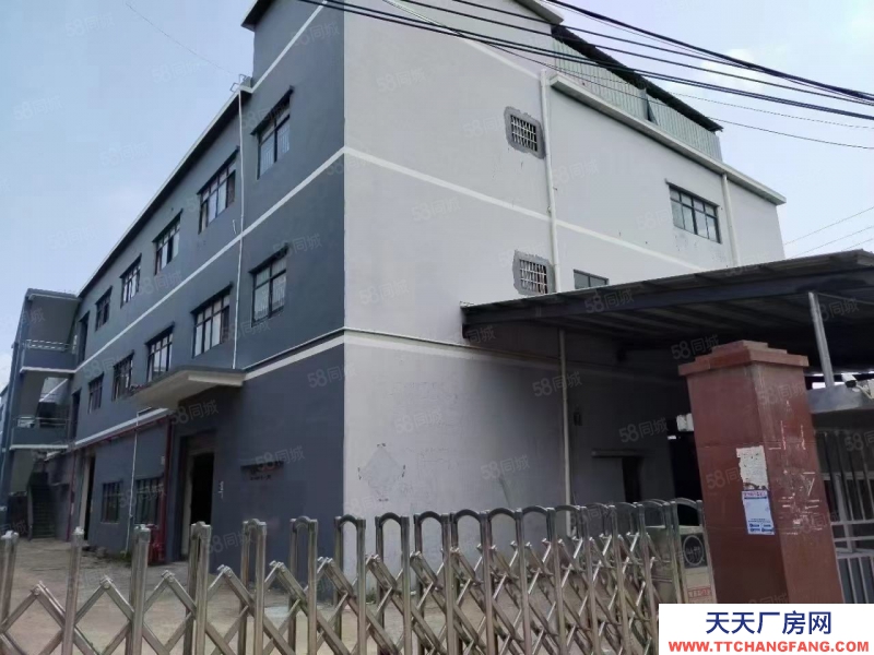 (出租) 廣州荔灣沙湖原房東，獨門獨院廠房5300方，200平起租，水電齊全。