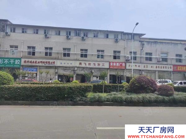 湖北江漢(出租) （房東直租）江漢常青路750平廠房房東直租無中介費交通便利