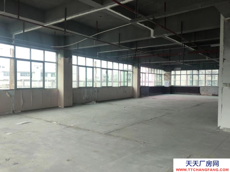 (出租) 福州倉山區房東直租 送超大露臺 有客梯貨梯 適合辦公+倉儲或展廳