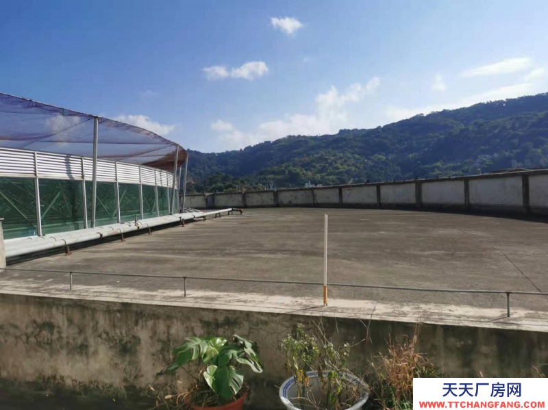 (出租) 福州倉山區(qū)房東直租 送超大露臺 有客梯貨梯 適合辦公+倉儲或展廳