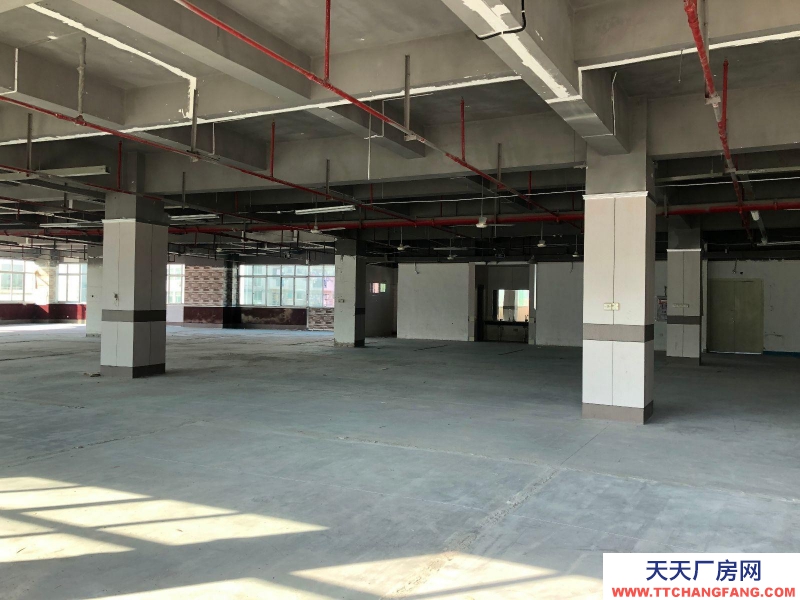 (出租) 福州倉山區(qū)房東直租 送超大露臺 有客梯貨梯 適合辦公+倉儲或展廳