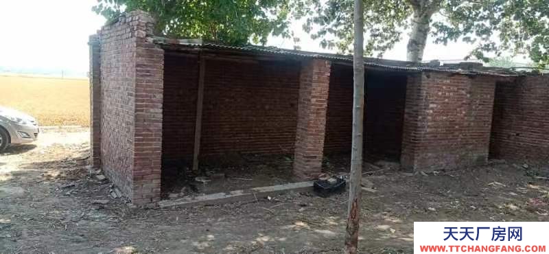 石家莊新華出租500平空地一處 三間房屋