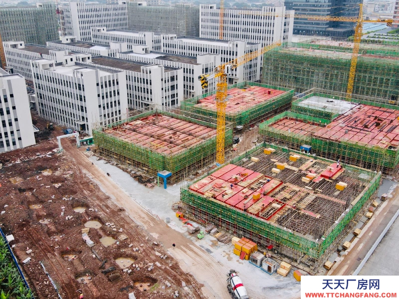 (出售)荔灣 臨廣州南站，現樓4600方獨棟！！國有廠權！贈送獨棟冠名權