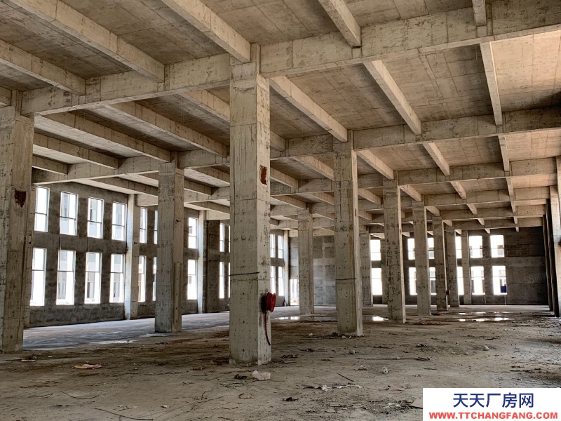 (出售)荔灣 臨廣州南站，現樓4600方獨棟！！國有廠權！贈送獨棟冠名權