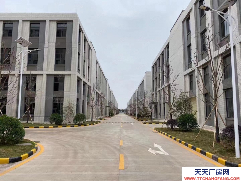 (出售) 芳村地鐵旁800到15000方平層獨棟！電子科技產業集聚！