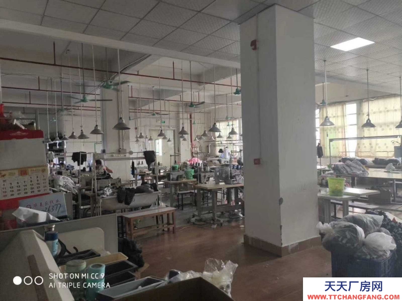 (出租)越秀五羊新城280平方招租現(xiàn)成裝修價格便宜