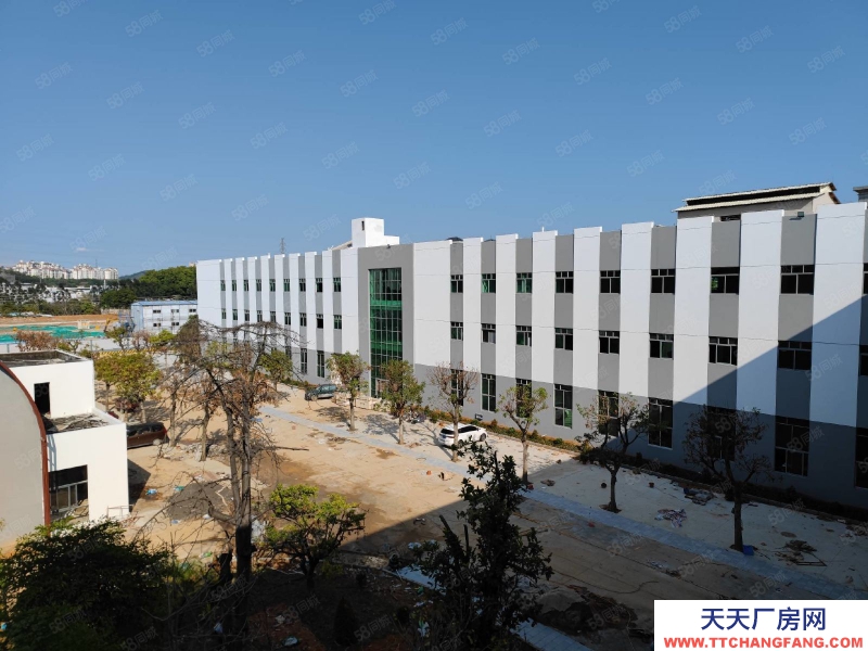 (出租) 番禺近南站園區80000方園區空地大可進大拖頭租金2字開頭