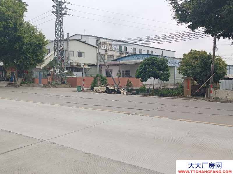 (出租) 番禺獨(dú)門獨(dú)戶中高16米630專變可辦環(huán)評(píng)掛車出入方便