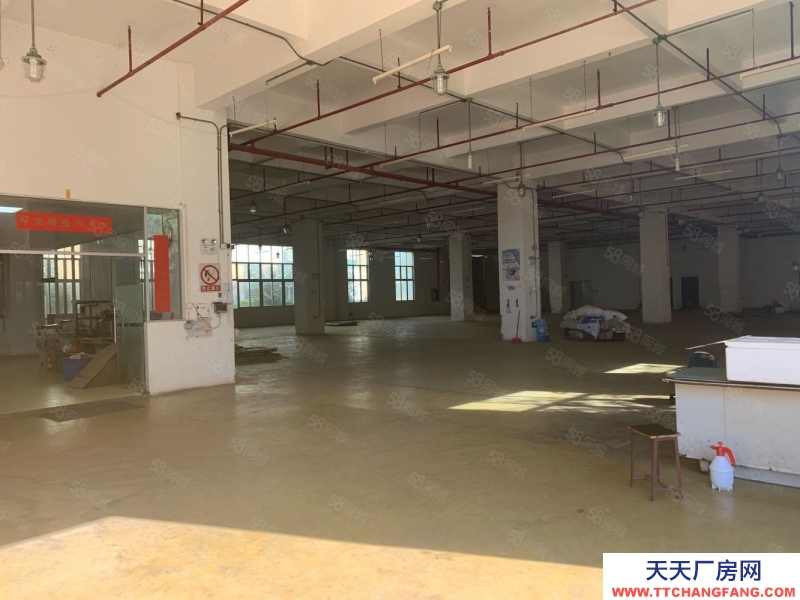 (出租) 番禺獨院廠房7500平方出租 證件齊全 可辦環評 市政管網