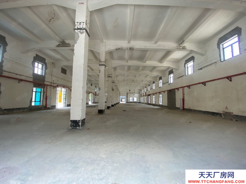 (出租) 番禺南村15000方單一層磚墻到頂廠房出租，適合酒吧攝影