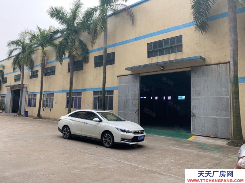 (出租) 番禺沙灣福涌12米高鋼構(gòu)1180平方出租 可辦環(huán)評(píng) 證件齊全