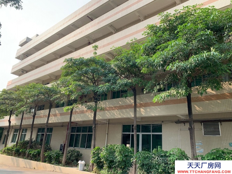 (出租) 番禺地鐵口電商 貿易 辦公920方1275平至8500平廠房出租