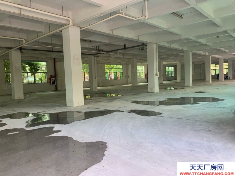 (出租) 番禺地鐵口電商 貿易 辦公920方1275平至8500平廠房出租