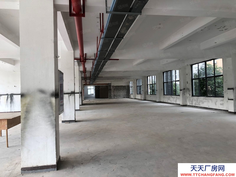 (出租)福州 晉安區(qū)舊廠房改造 辦公室出租 轉(zhuǎn)讓 五四北 西園 可注冊(cè)