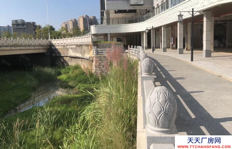 (出租)福州 晉安區(qū)舊廠房改造 辦公室出租 轉(zhuǎn)讓 五四北 西園 可注冊