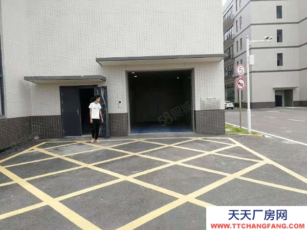 武漢硚口(出租) 超值帶裝修廠房倉庫出租兩部貨梯大貨梯超長7米