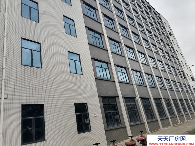 南寧市西鄉塘區出租全新標準廠房倉庫，500平起，可租可售，有一樓！有補貼