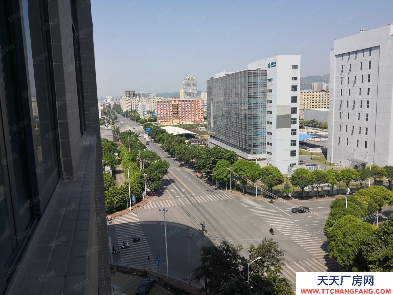 南寧市西鄉塘區出租全新標準廠房倉庫，500平起，可租可售，有一樓！有補貼