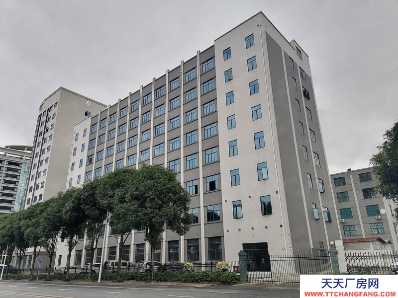 南寧市西鄉塘區出租全新標準廠房倉庫，500平起，可租可售，有一樓！有補貼
