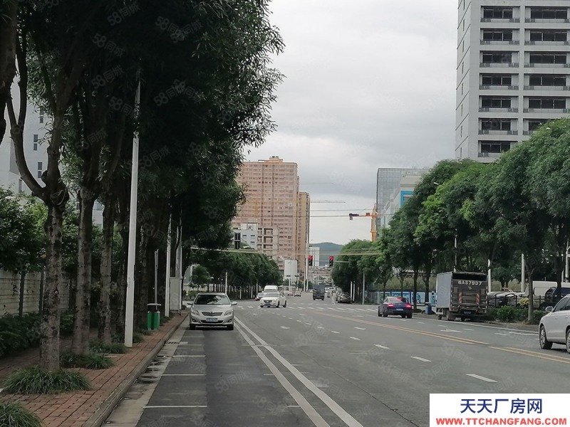 南寧市西鄉塘區出租全新標準廠房倉庫，500平起，可租可售，有一樓！有補貼