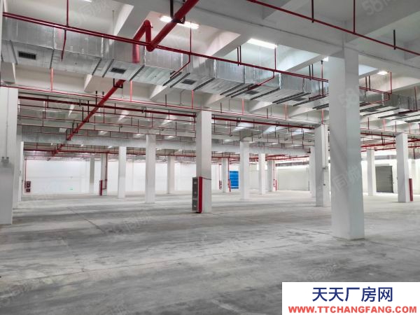 南京市江寧區(出租) 眾彩物流3000平。丙類消防，可以分租