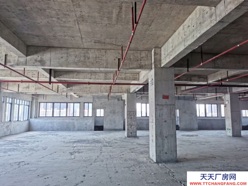 南寧市西鄉塘區(出租) 特惠房源，10塊錢一平起租，還剩少量房源可租