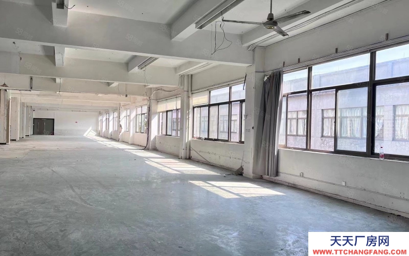 杭州濱江整層1300方 戶(hù)型 采光好 大貨梯 適合電商 直播