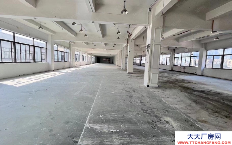 杭州濱江整層1300方 戶型 采光好 大貨梯 適合電商 直播