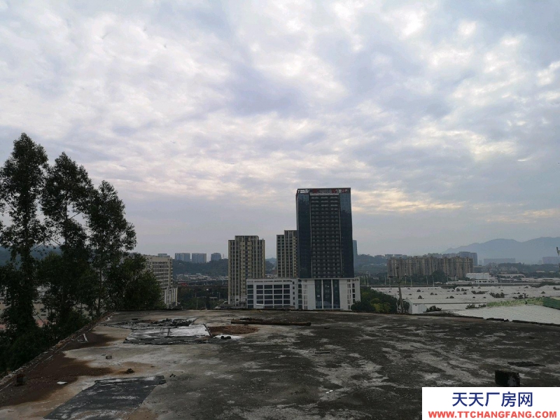 (出租) 房屋及空地出租地址永豐樞紐三環(huán)互通口邊上