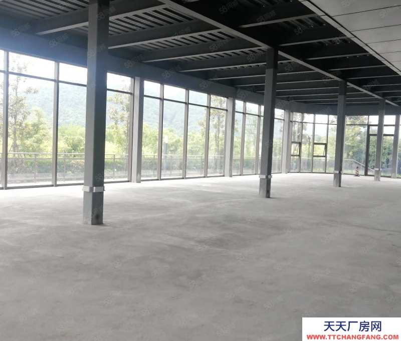 杭州濱江得好房圓美夢，濱江一樓落地窗436方高5.5米，天然氧吧