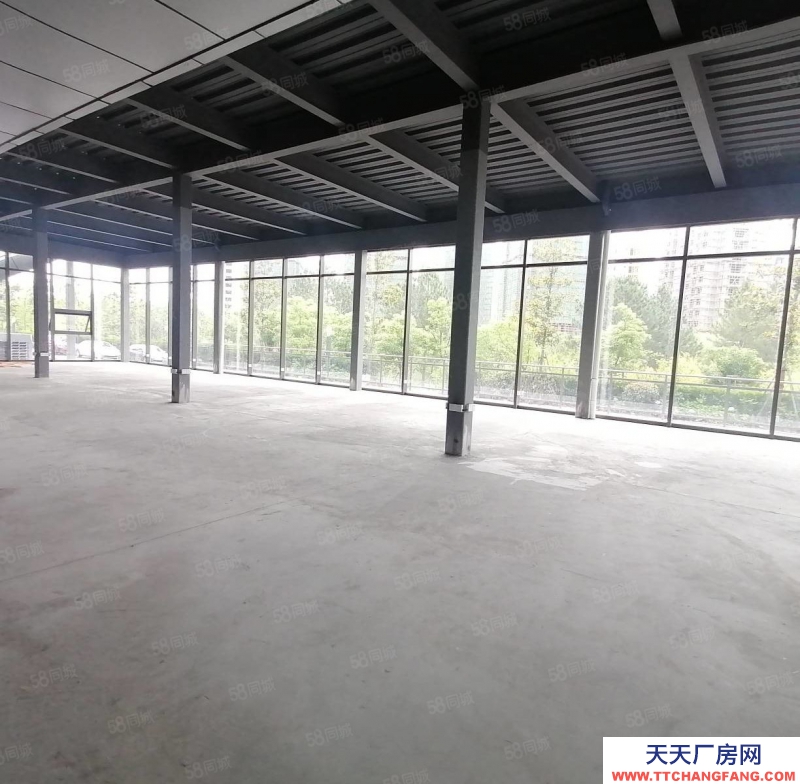 杭州濱江得好房圓美夢，濱江一樓落地窗436方高5.5米，天然氧吧