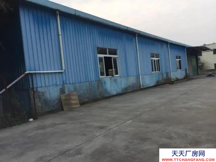 南寧市西鄉塘區出租2萬平花園式廠房/倉庫/可分租/可隔大小