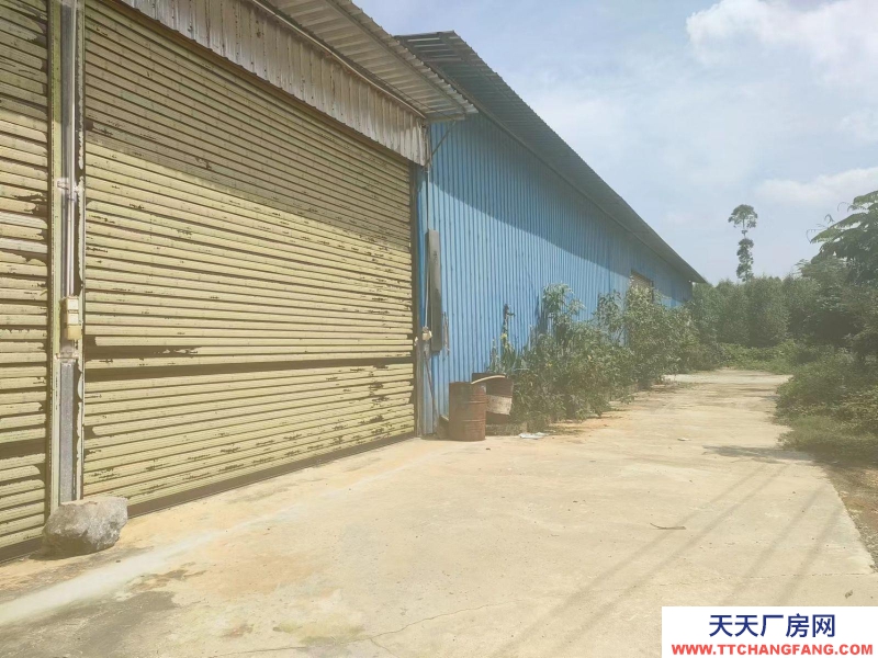 南寧市西鄉塘區出租2萬平花園式廠房/倉庫/可分租/可隔大小