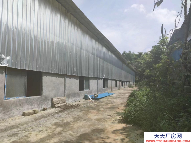 南寧市西鄉塘區出租2萬平花園式廠房/倉庫/可分租/可隔大小