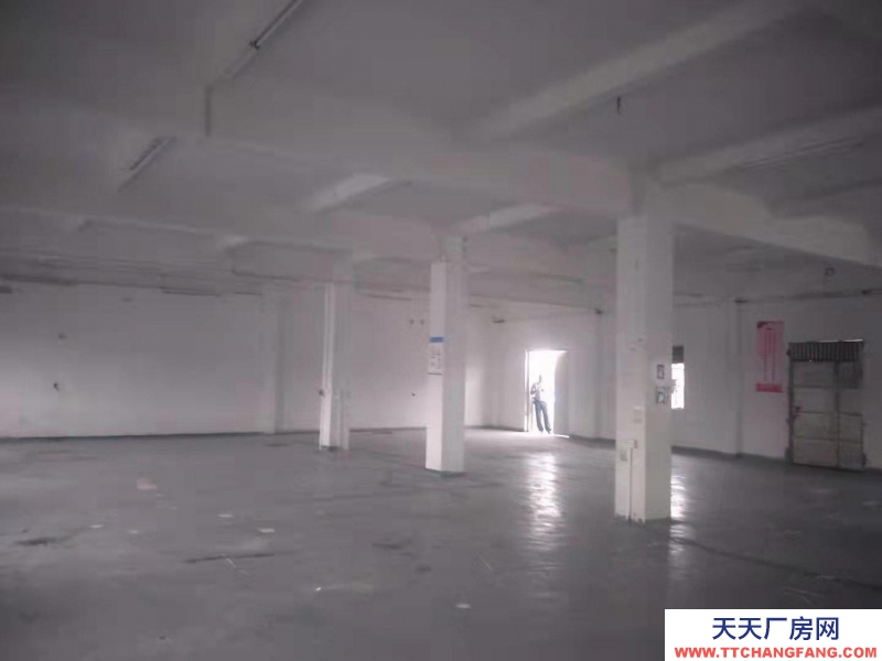 (出租) 海珠新港東路楊青村650平方倉庫租