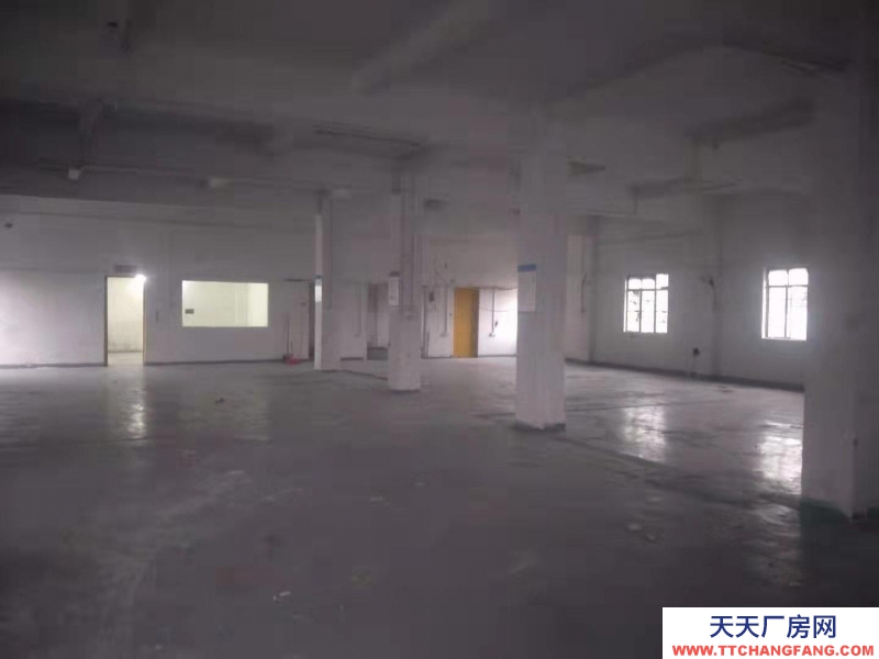 (出租) 海珠新港東路楊青村650平方倉庫租